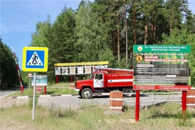 В Чувашии из-за высокой пожароопасности с 28 августа запрещается посещать леса 